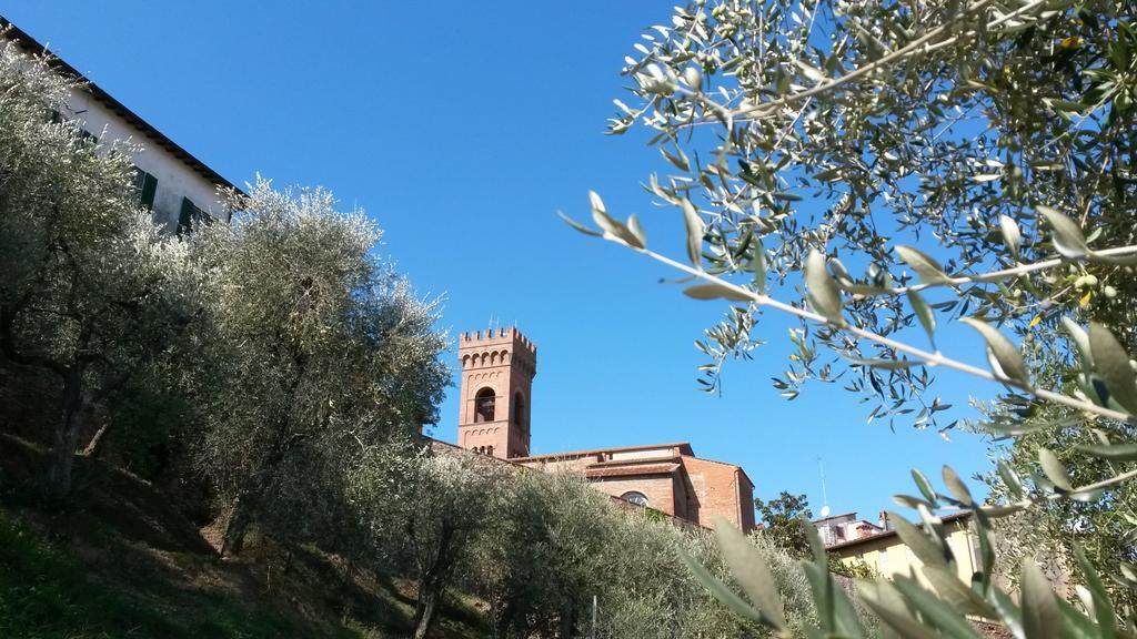 Antica Casa Dei Rassicurati Bed and Breakfast Montecarlo Εξωτερικό φωτογραφία